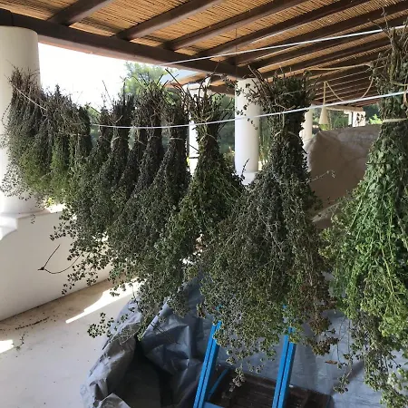 Al Salvatore Di Panzió 4*