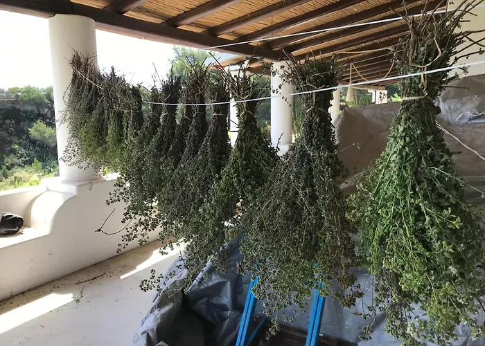 Al Salvatore Di Bed & Breakfast 4*