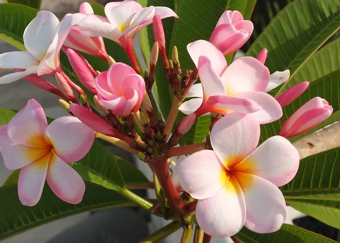 Al Salvatore Di Lipari (Isola Lipari)