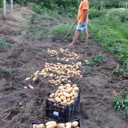 Al Salvatore Di לינה וארוחת בוקר