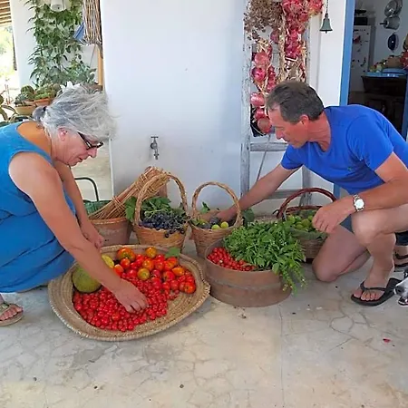 Al Salvatore Di Bed & Breakfast Lipari (Isola Lipari)