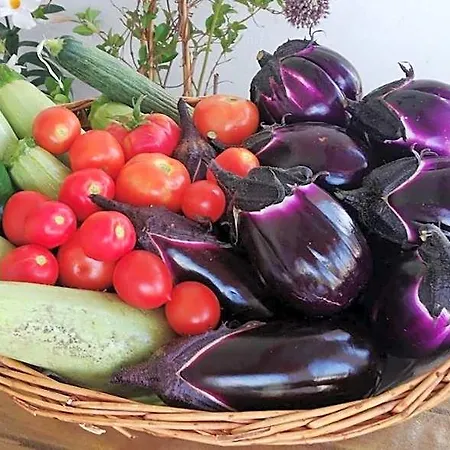 Al Salvatore Di Bed & Breakfast Lipari (Isola Lipari)