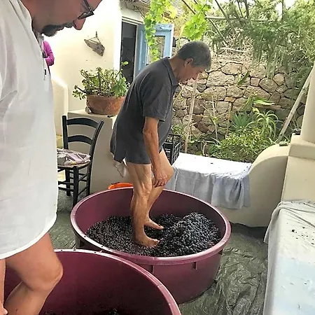 Al Salvatore Di 4*