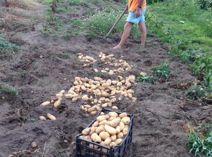 Al Salvatore Di Bed & Breakfast